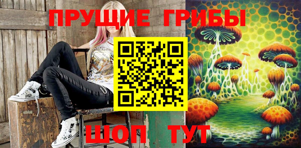 Галлюциногенные грибы мухоморы Чапаевск